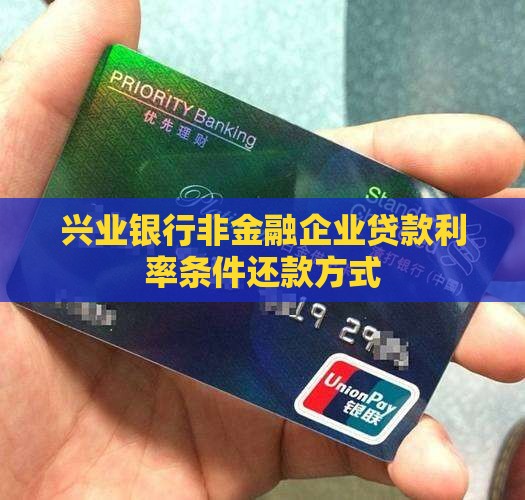 兴业银行非金融企业贷款 兴业银行非金融企业贷款