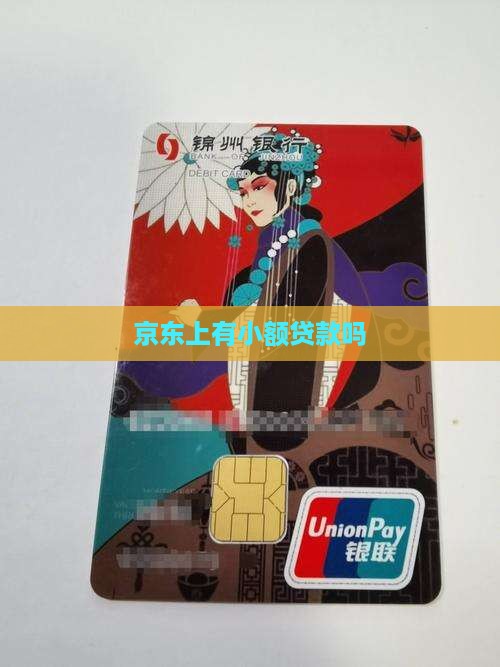 京东上有小额贷款吗