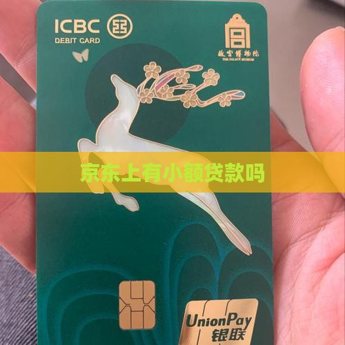 京东上有小额贷款吗