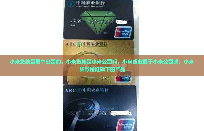 小米贷款是那个公司的
