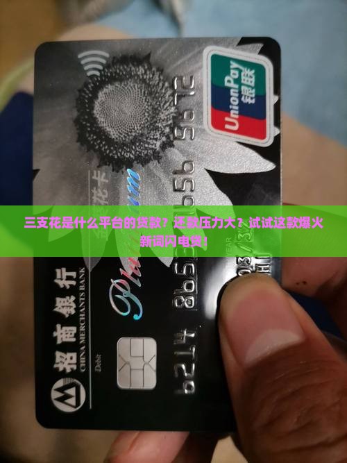 三支花是什么平台的贷款