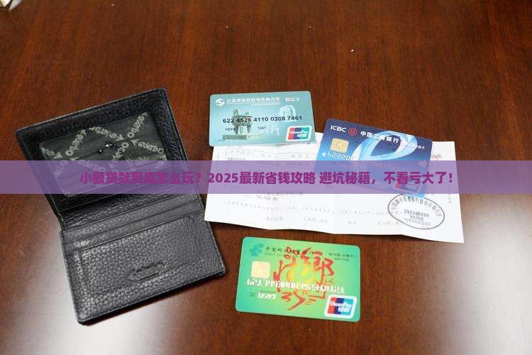如何解释小额贷款