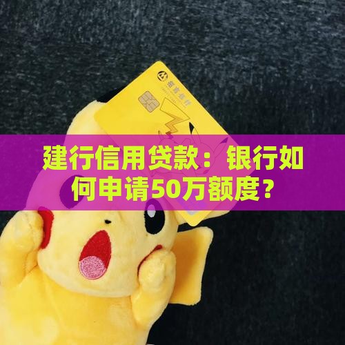 建行50万信用贷款吗