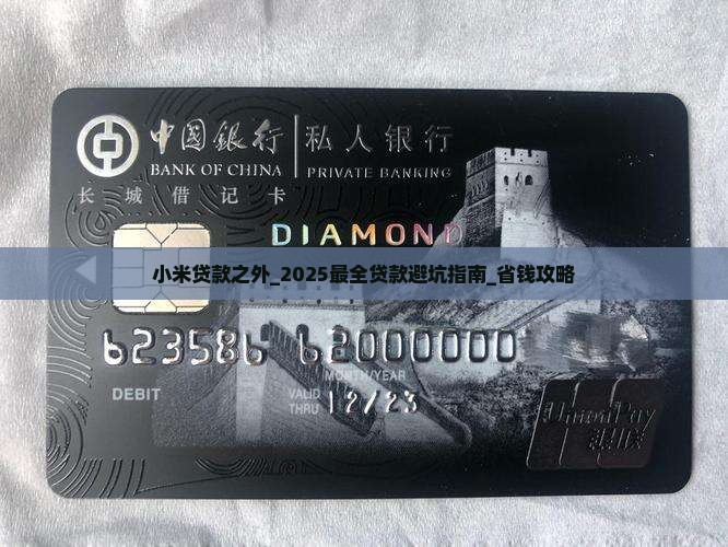 小米贷款之外