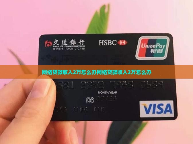 网络贷款收入2万怎么办