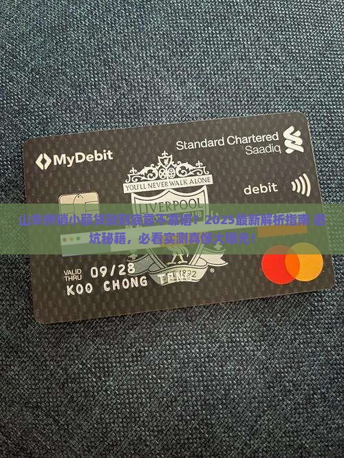 山东供销小额贷款怎样