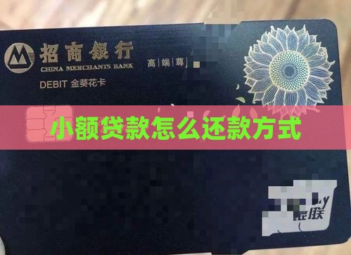 10小额贷款怎么还