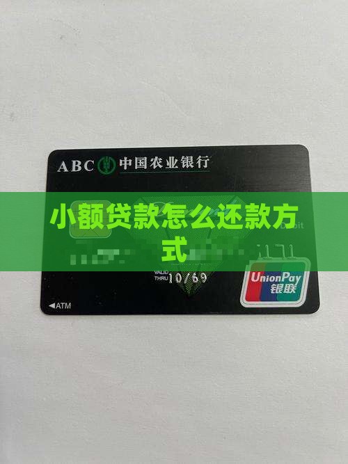 10小额贷款怎么还