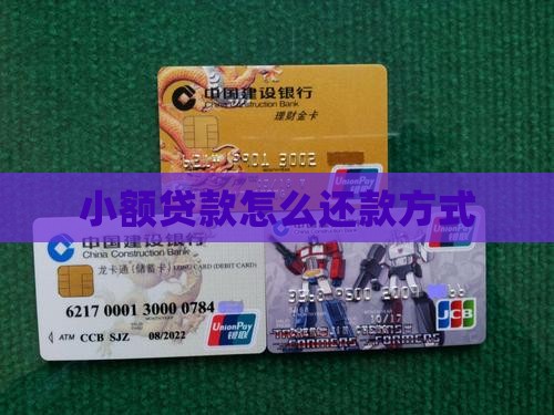 10小额贷款怎么还