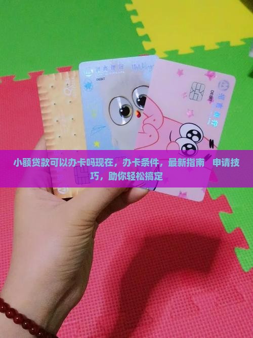 小额贷款可以办卡吗现在