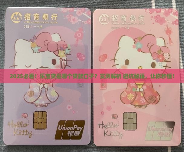 乐宝贷是哪个贷款口子