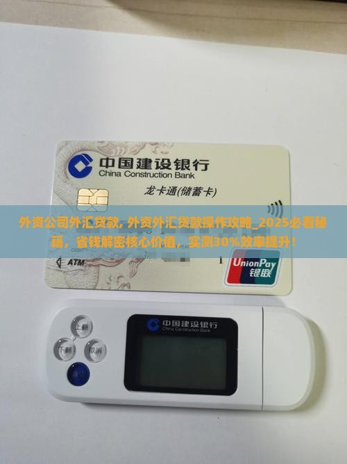 外资公司外汇贷款