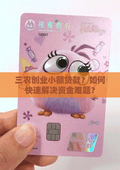 三农创业小额贷款