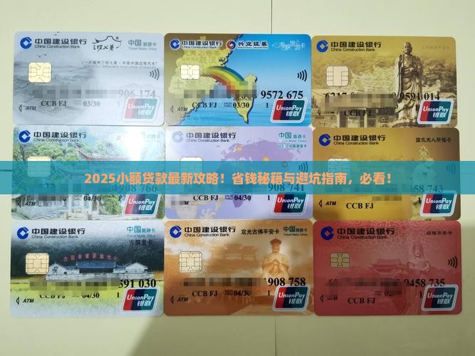 小额贷款引进