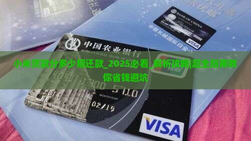 小米贷款分多少期还款