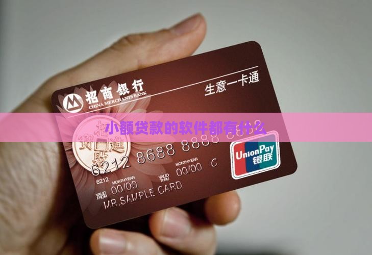 小额贷款的软件都有什么