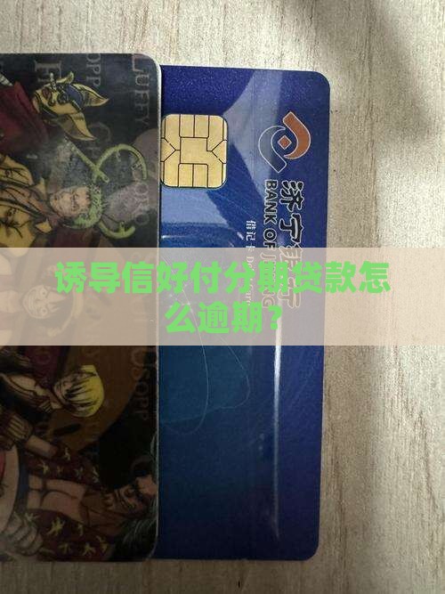 信好付分期贷款