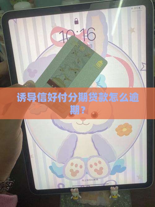 信好付分期贷款