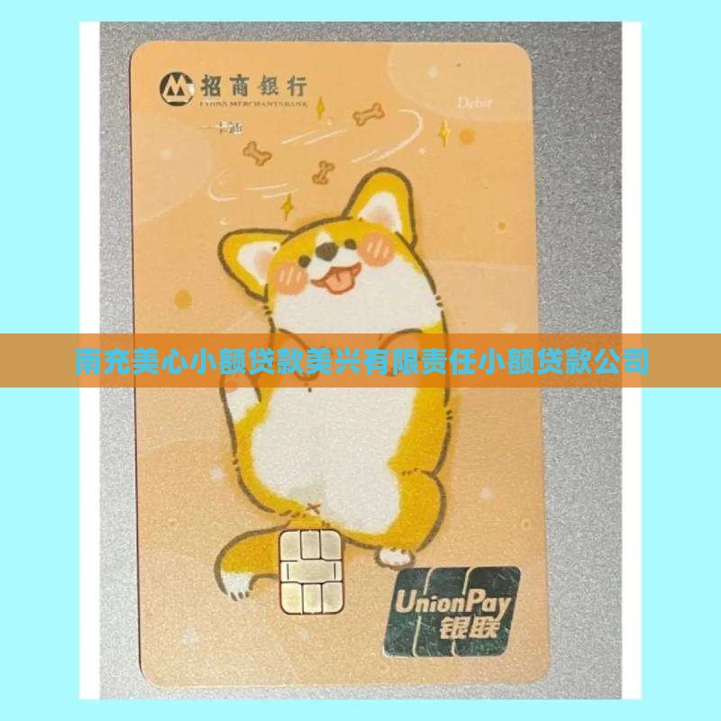 南充美心小额贷款
