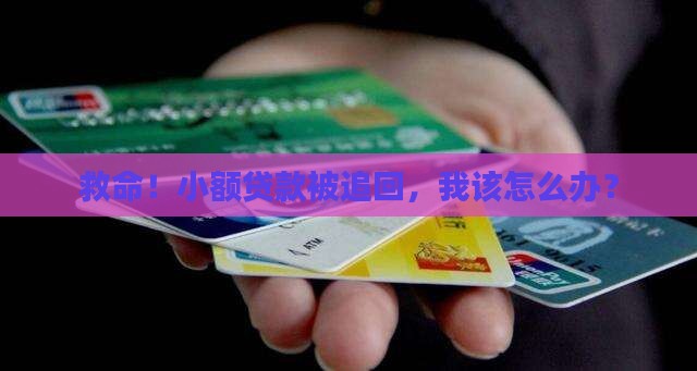 小额贷款被追回怎么办