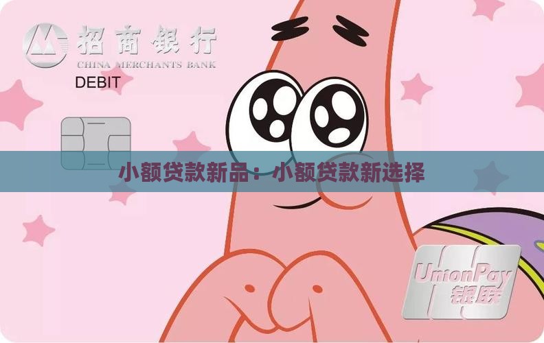 小额贷款新品