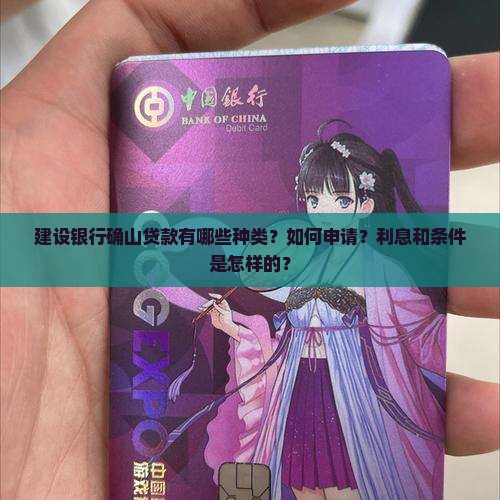 建设银行确山贷款