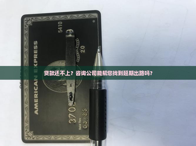 咨询公司做贷款延期