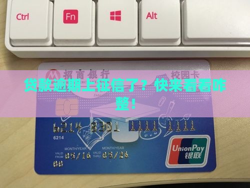 一次贷款没还上传征信