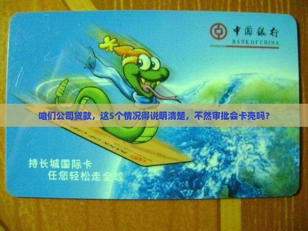公司情况说明用于贷款