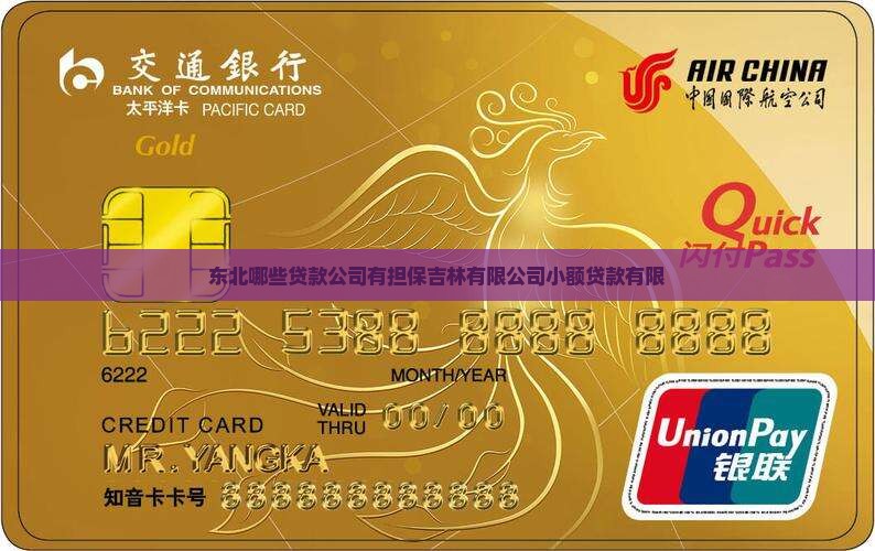 东北有哪些贷款的公司