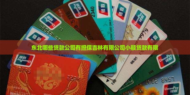 东北有哪些贷款的公司