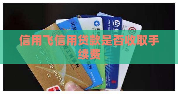 信用飞贷款收手续费吗