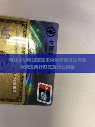 吉林省小额贷款需求供给