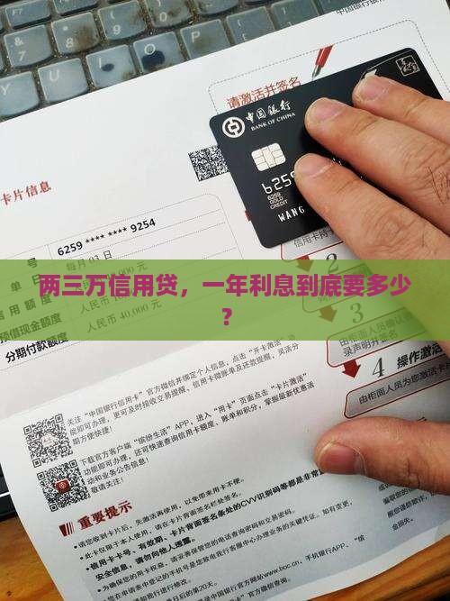 信用贷款两三万一年利息