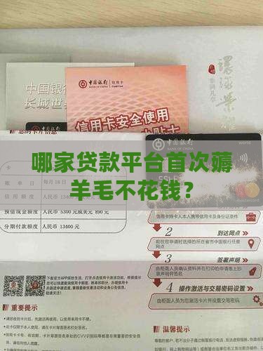 什么贷款平台首次免息