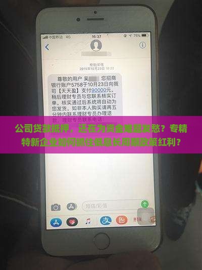 公司贷款抵押