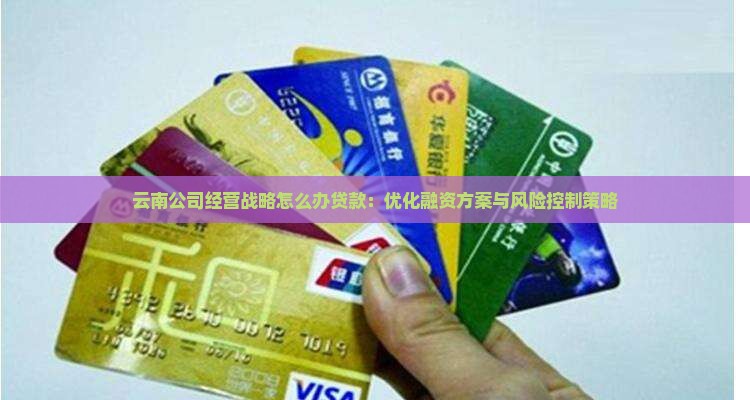 云南公司经营战略怎么办贷款
