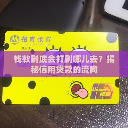 信用贷款发放到哪里