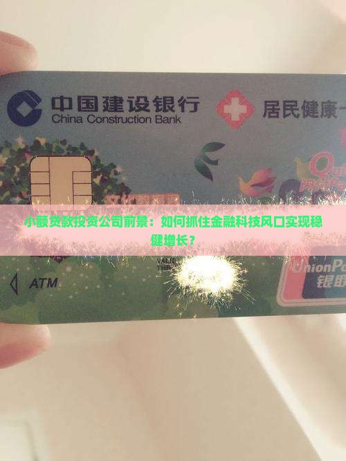 小额贷款投资公司前景