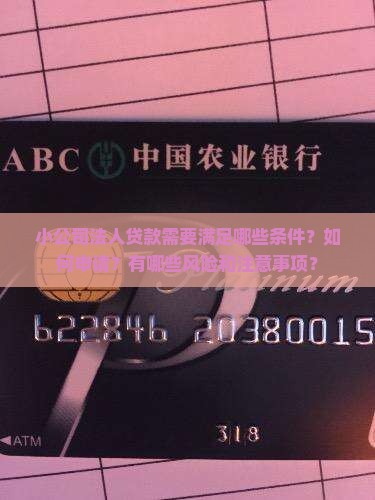 小公司法人贷款