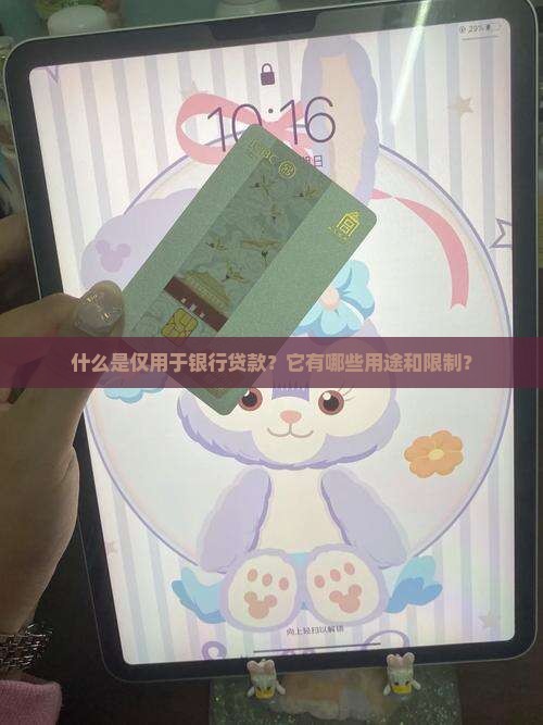 仅用于银行贷款
