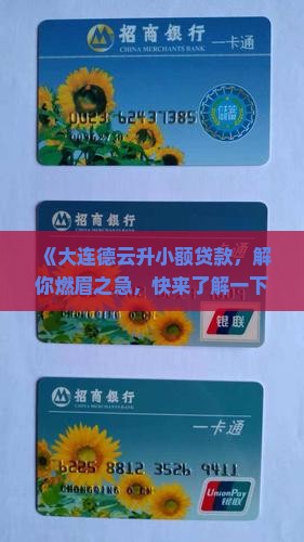 大连德云升小额贷款