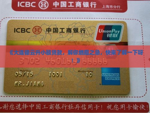 大连德云升小额贷款