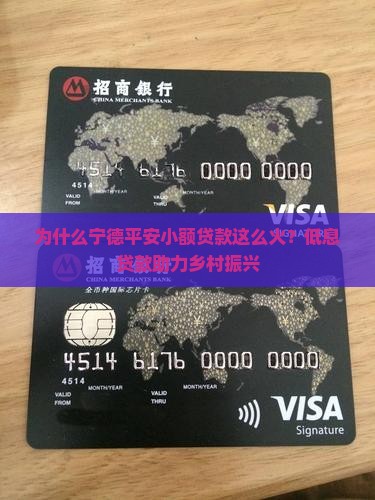 宁德平安小额贷款