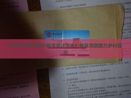 宁德平安小额贷款