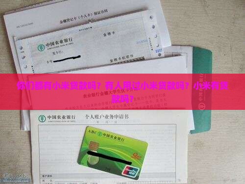 你们都有小米贷款吗
