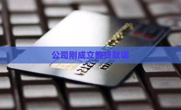 公司刚成立能贷款嘛