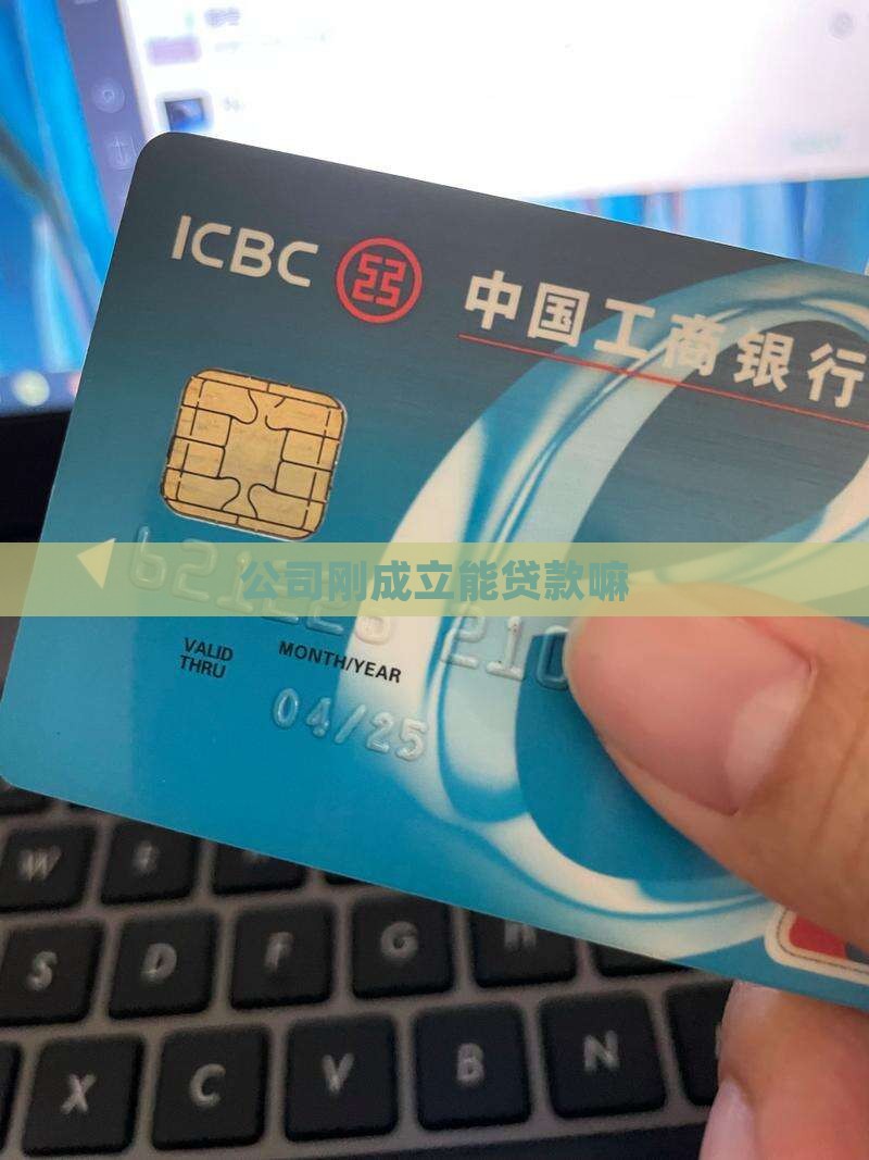 公司刚成立能贷款嘛