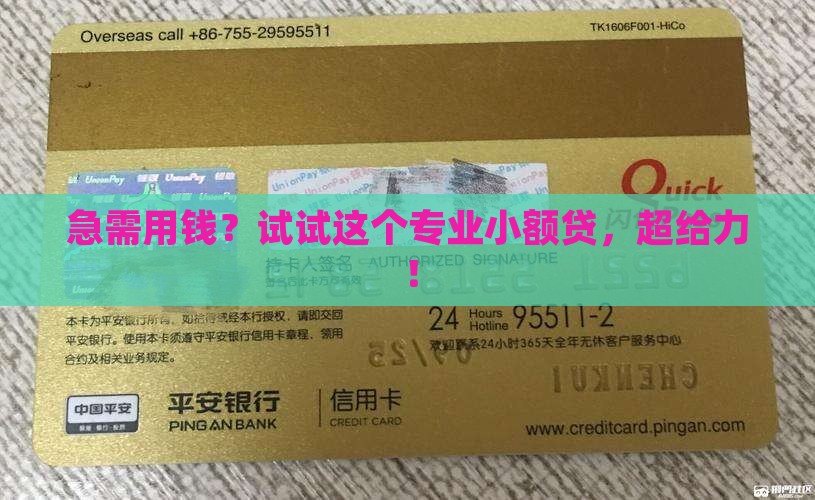 专业的小额消费贷款