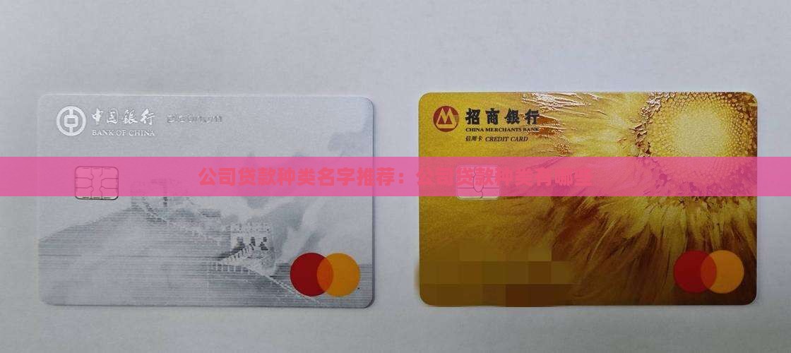 公司贷款种类名字推荐